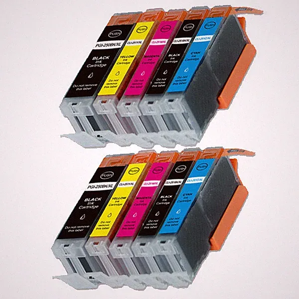 10 PK PGI-250 CLI-251 XL Printer Ink Set + chip fits Canon MX920 MX722 MG6420