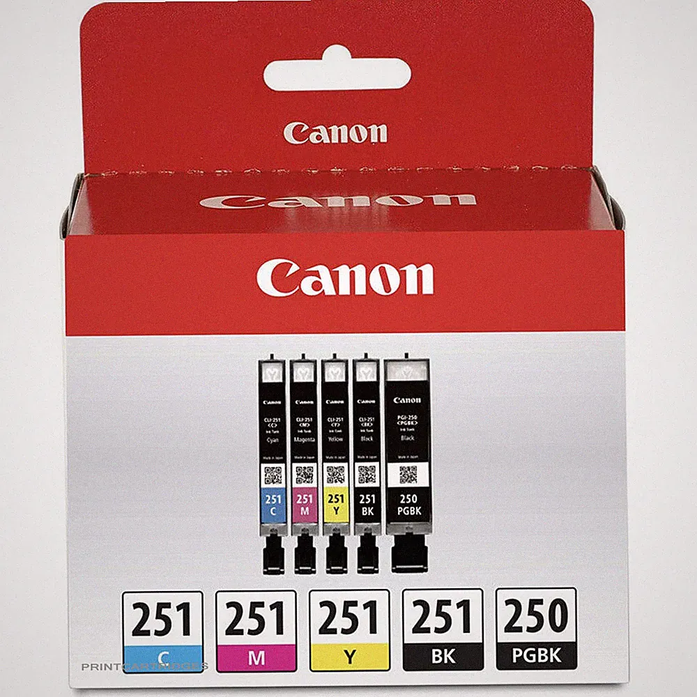Canon CLI-251 Continuous Ink System